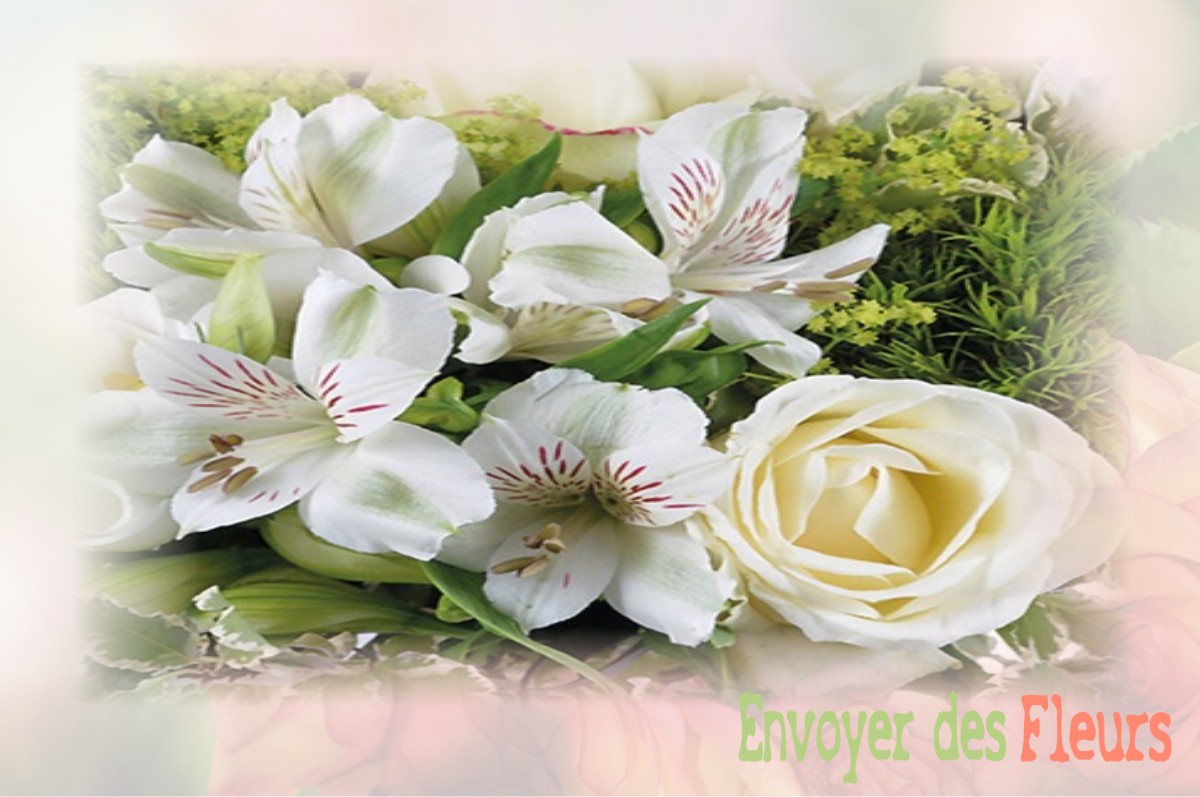 envoyer des fleurs à à VILLETTE-LES-ARBOIS