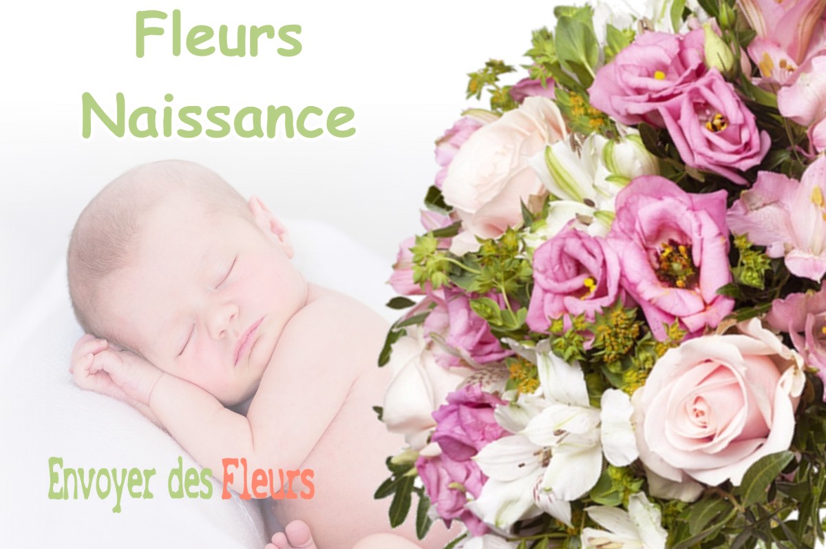 lIVRAISON FLEURS NAISSANCE à VILLETTE-LES-ARBOIS